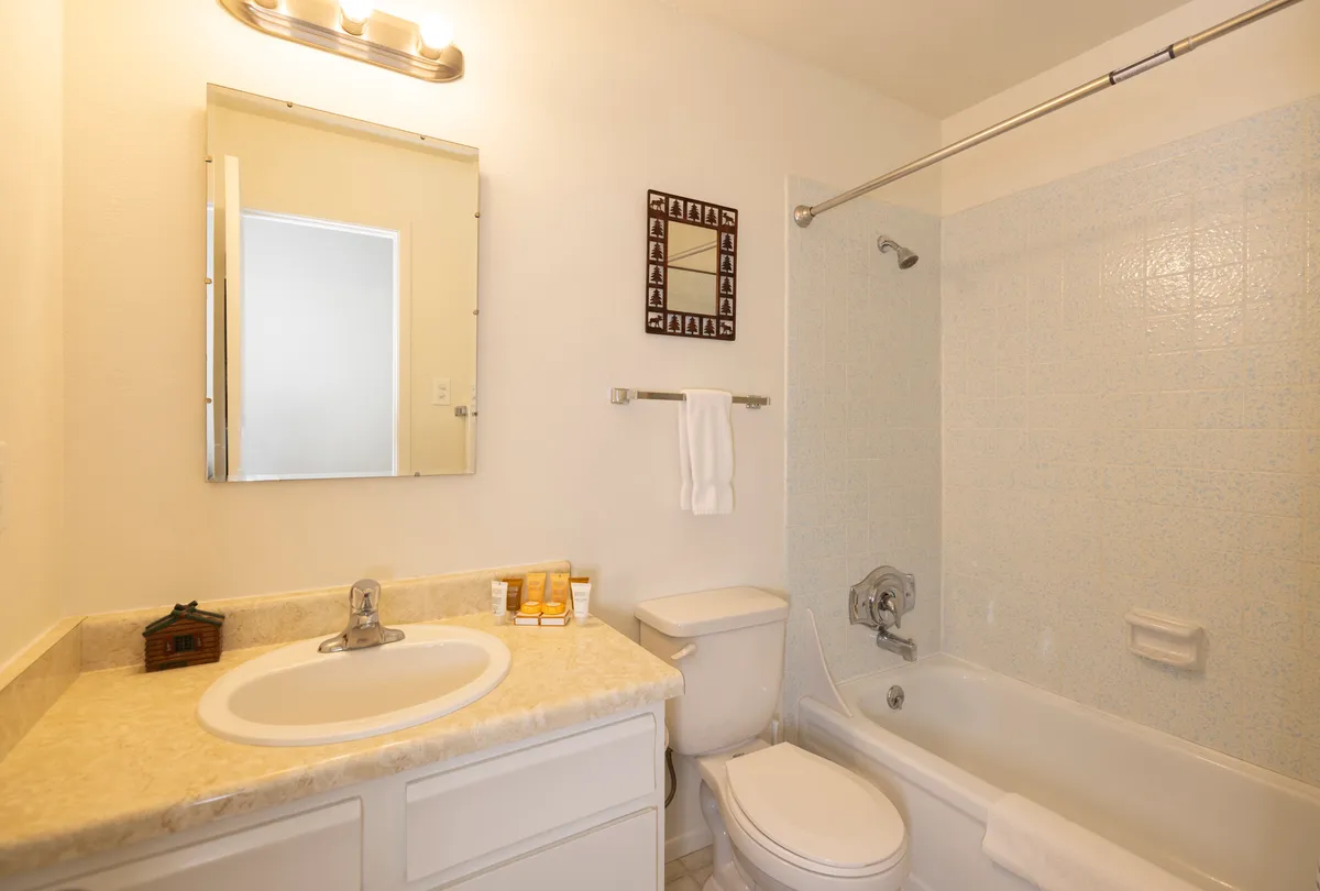 This image shows a modern, well-lit bathroom with a sink and countertop, a large mirror, a toilet, a bathtub with a shower curtain rod, and a towel rack with neatly folded towels. The fixtures are clean and functional, and the overall ambiance is welcoming and practical for daily routines.