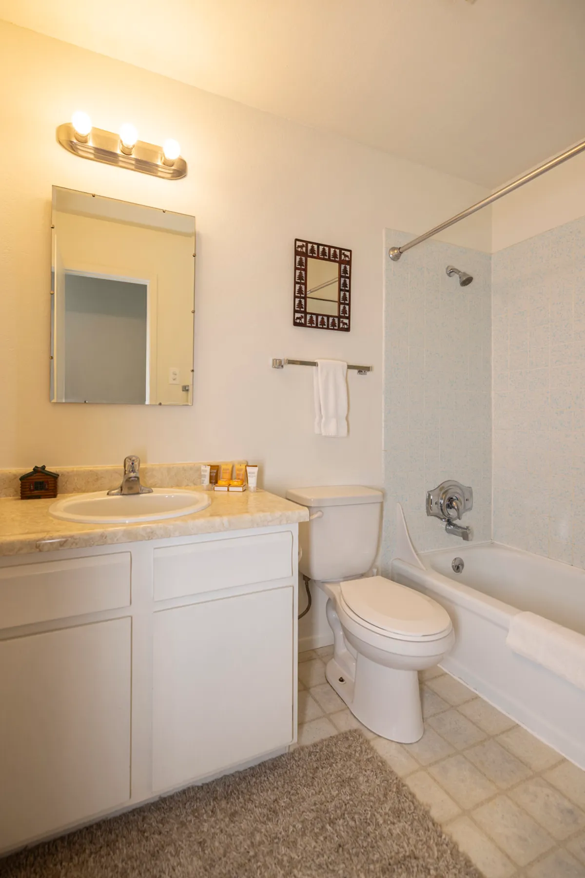 This image features a calm, practical bathroom space, including a vanity with a sink and mirror, a toilet, and a bathtub with a showerhead. The space is tidy and serene, offering a sense of relaxation and order.